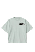 bbbs (HMOTS) mint